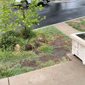 Meet your Posher, Coleman